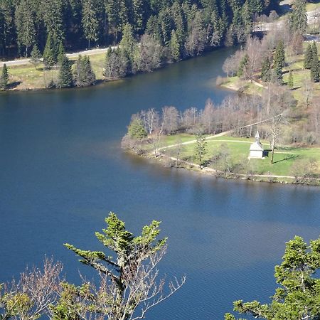 Chalet La Petite Perle Gérardmer Exteriér fotografie