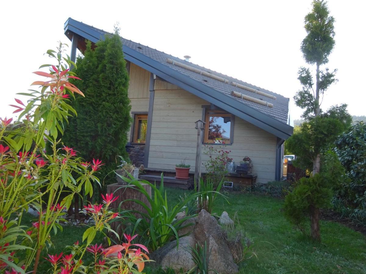 Chalet La Petite Perle Gérardmer Exteriér fotografie