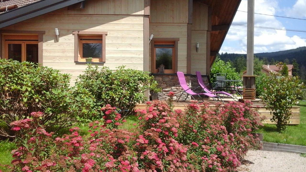 Chalet La Petite Perle Gérardmer Exteriér fotografie